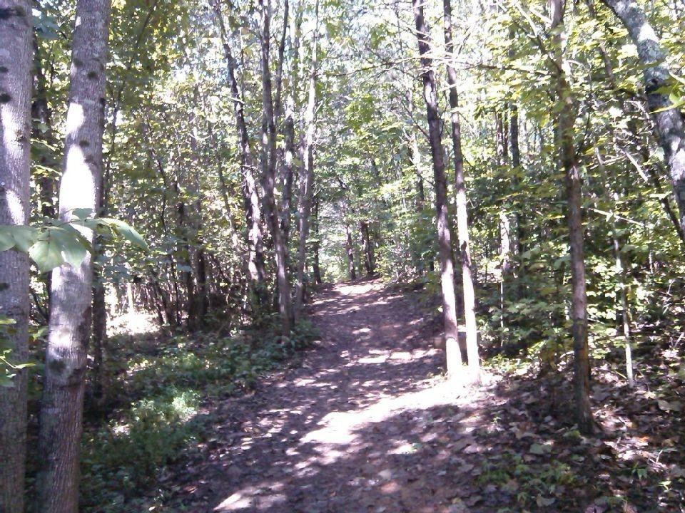 Hiking trails near Lake Lure and Mill Spring