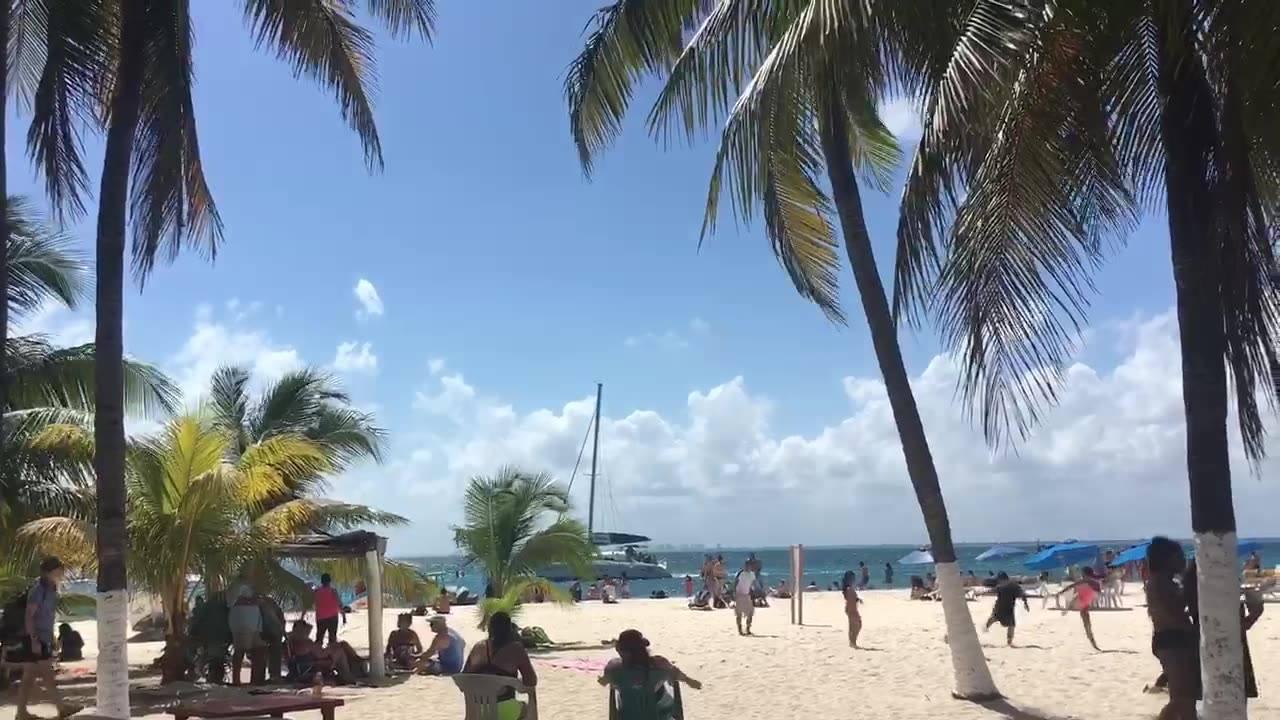 Everything Playa Del Carmen