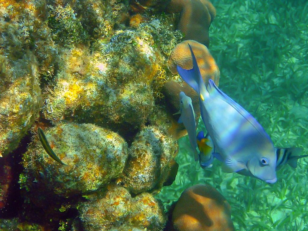 Yal-Ku Lagoon on the Riviera Maya