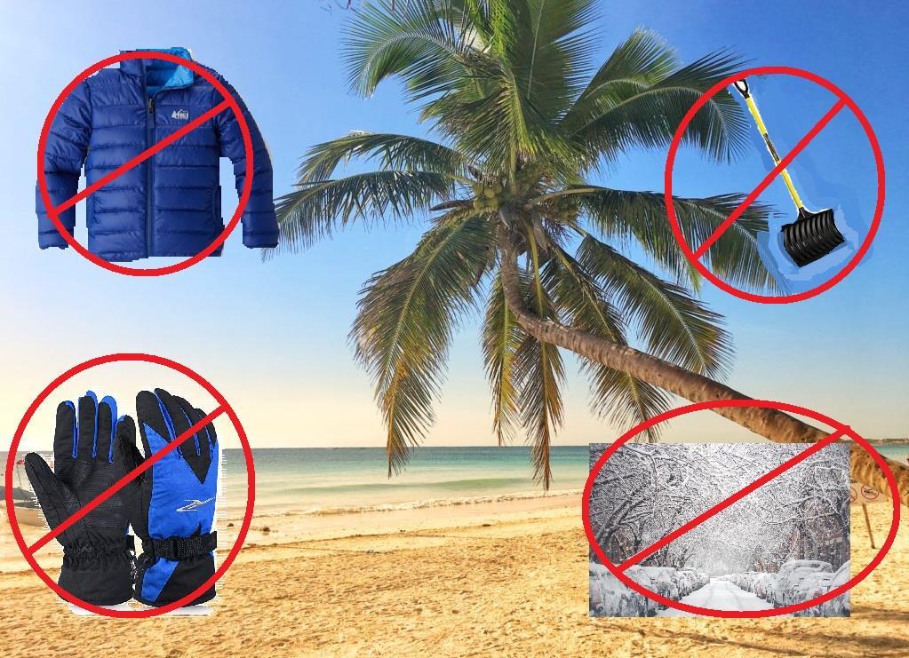 Everything Playa Del Carmen