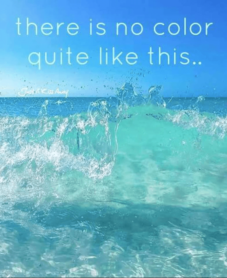 Caribbean Beachfront Condo - Playa del Carmen, MX