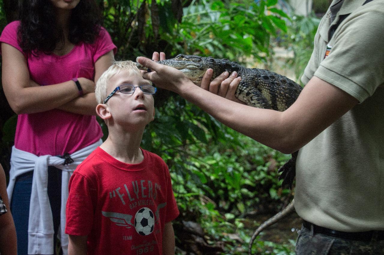 Croco Cun Zoo | Discover your nature!