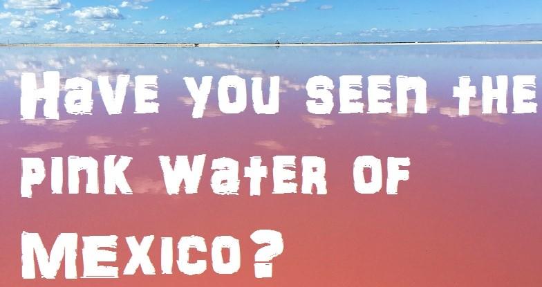 Have You Seen The Pink Water Of Mexico? Visiting Las Coloradas