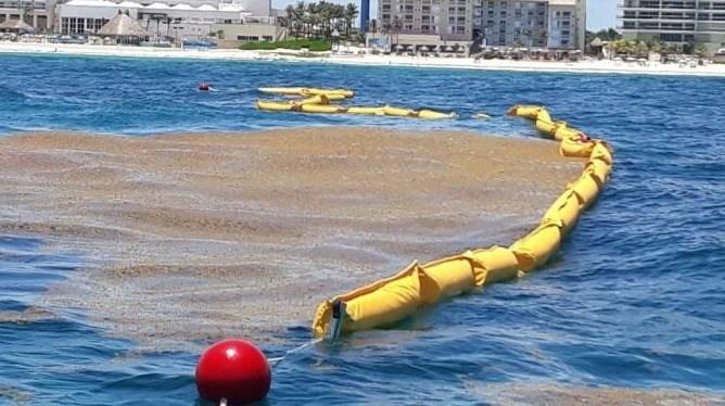 Sargassum barriers placed along Playa del Carmen beaches - Riviera Maya News