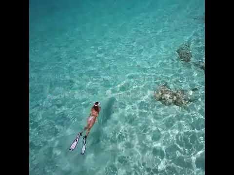 Put yourself on Airplane mode - YouTube