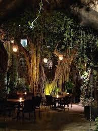 High End Restaurants in Playa del Carmen