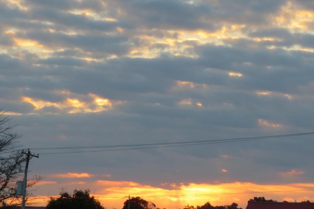 Wildwood Crest Happenings.