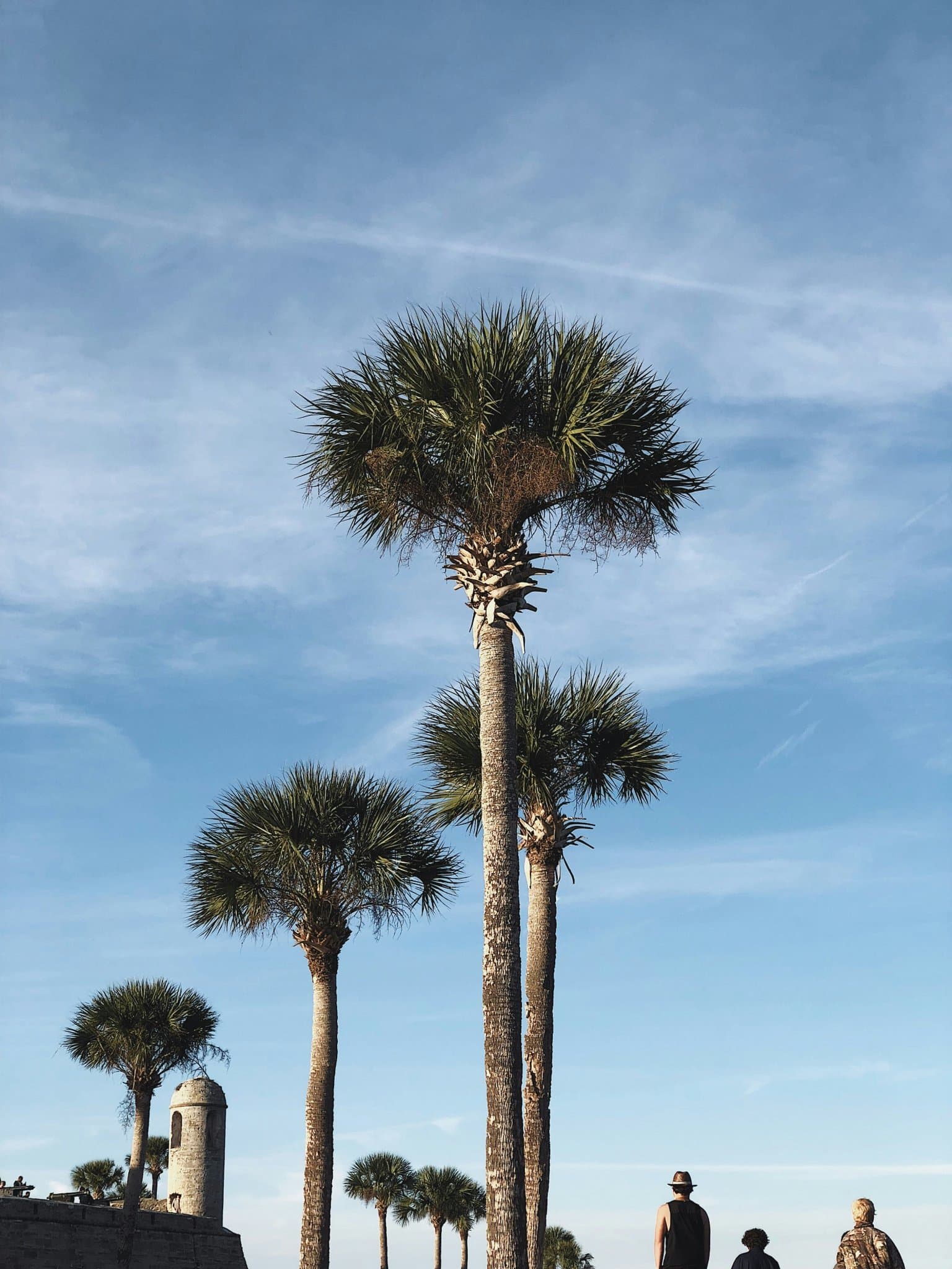 St. Augustine Spring Break Adventure Guide
