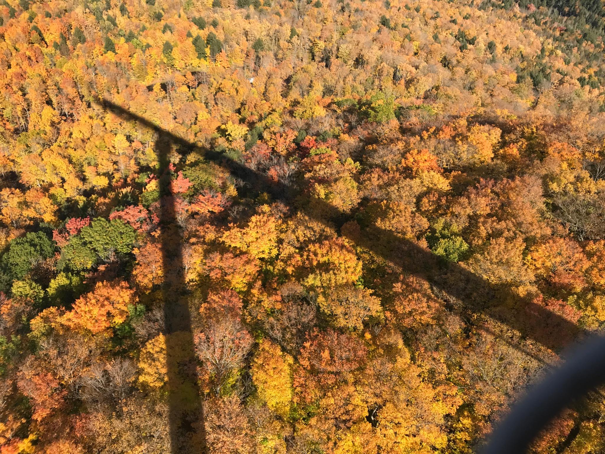 Fall Colors, Copper Peak & Cabin Fevers 🍁