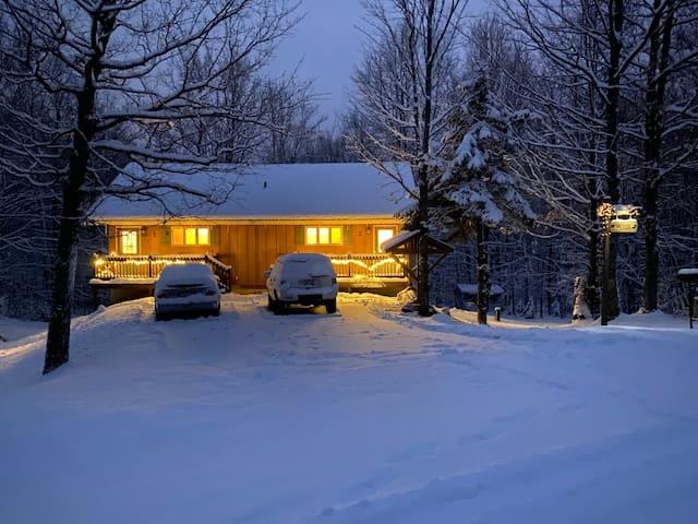 Winter at Cabin Fevers: Ski, Sauna & Snow Adventures Await!