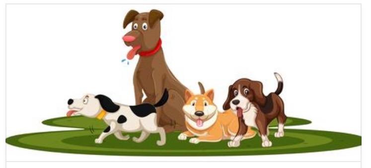 The Marejo Pet Policy and Addendum