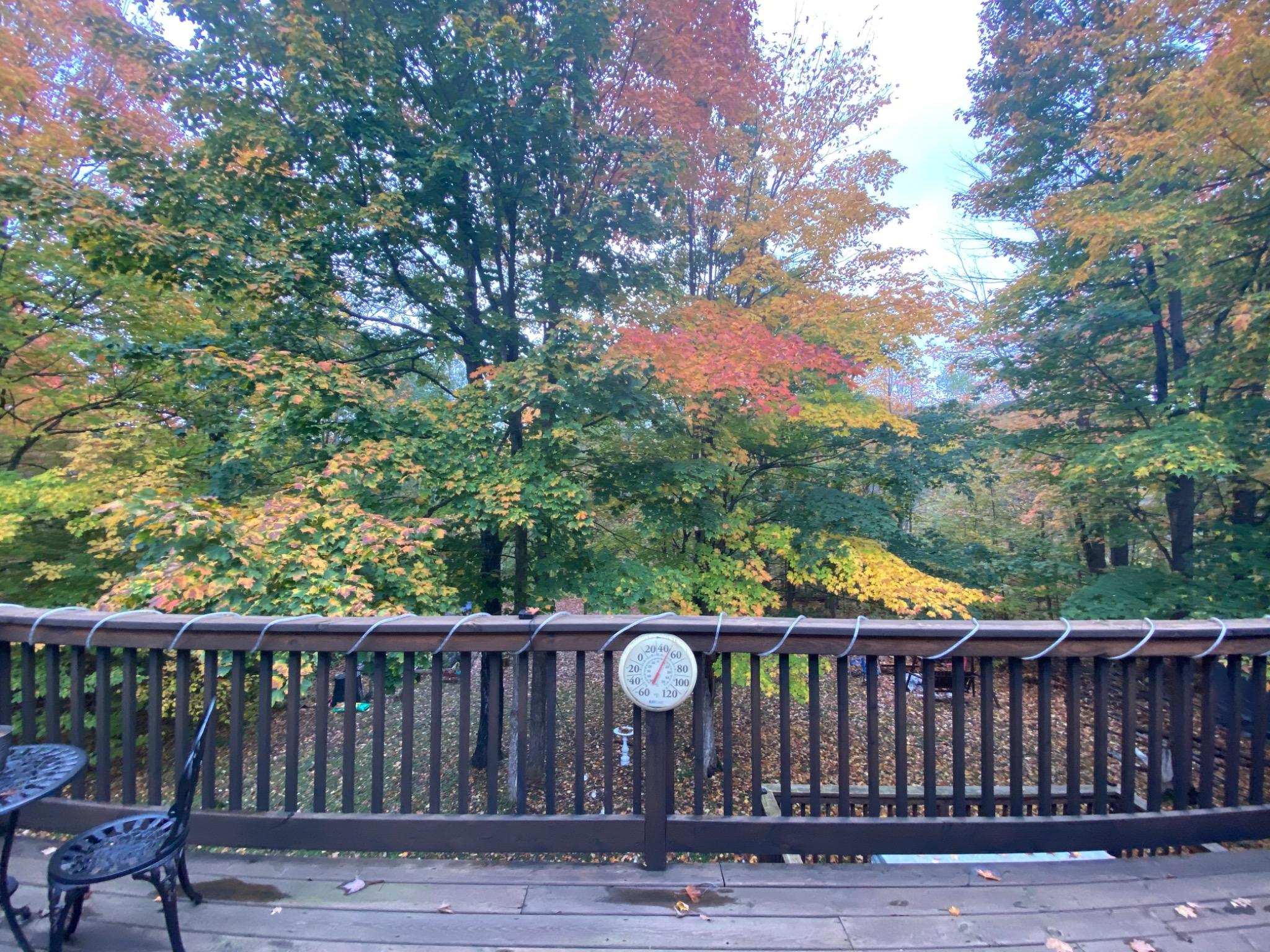 Pet-friendly cabin with sauna near Copper Falls & Copper Peak 🍂🐾✨