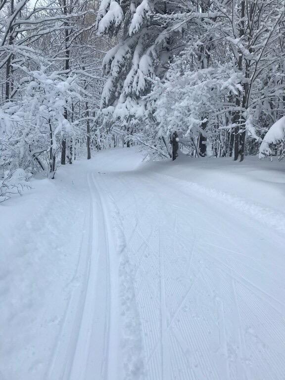 Winter Adventures Await at Cabin Fevers Near Big Powderhorn
