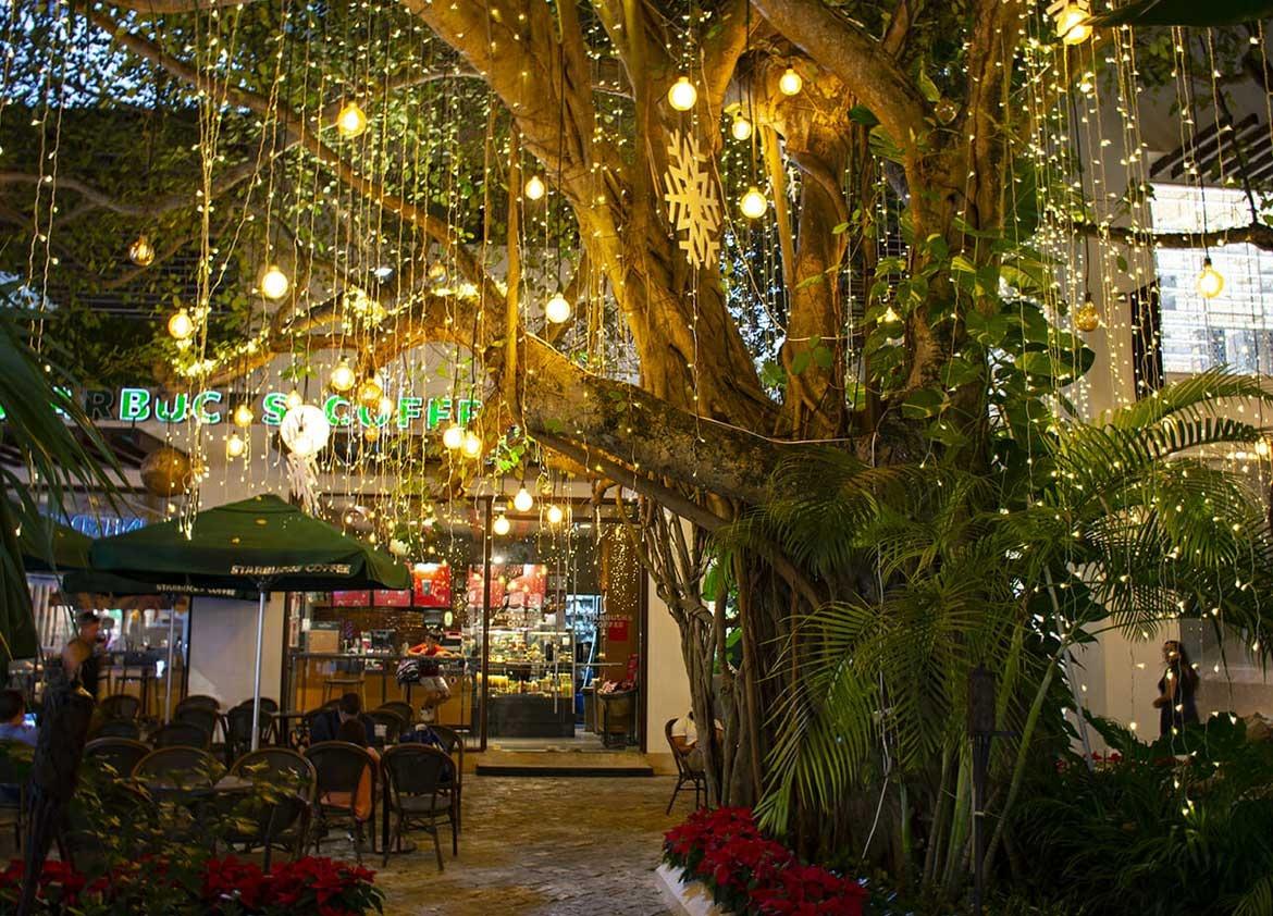 Mid Priced Restaurants