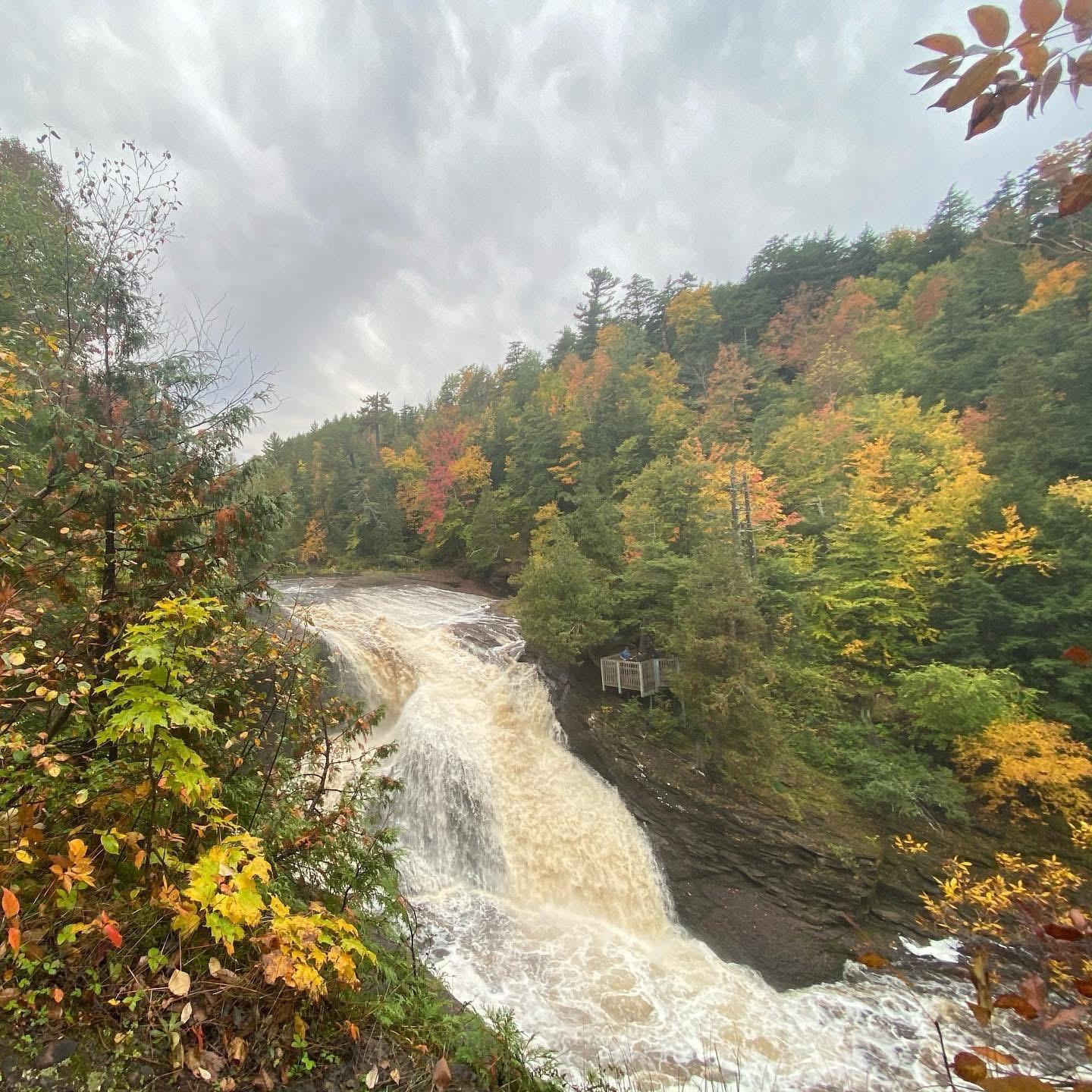 🍁 Fall Colors & Cozy Nights 🍁