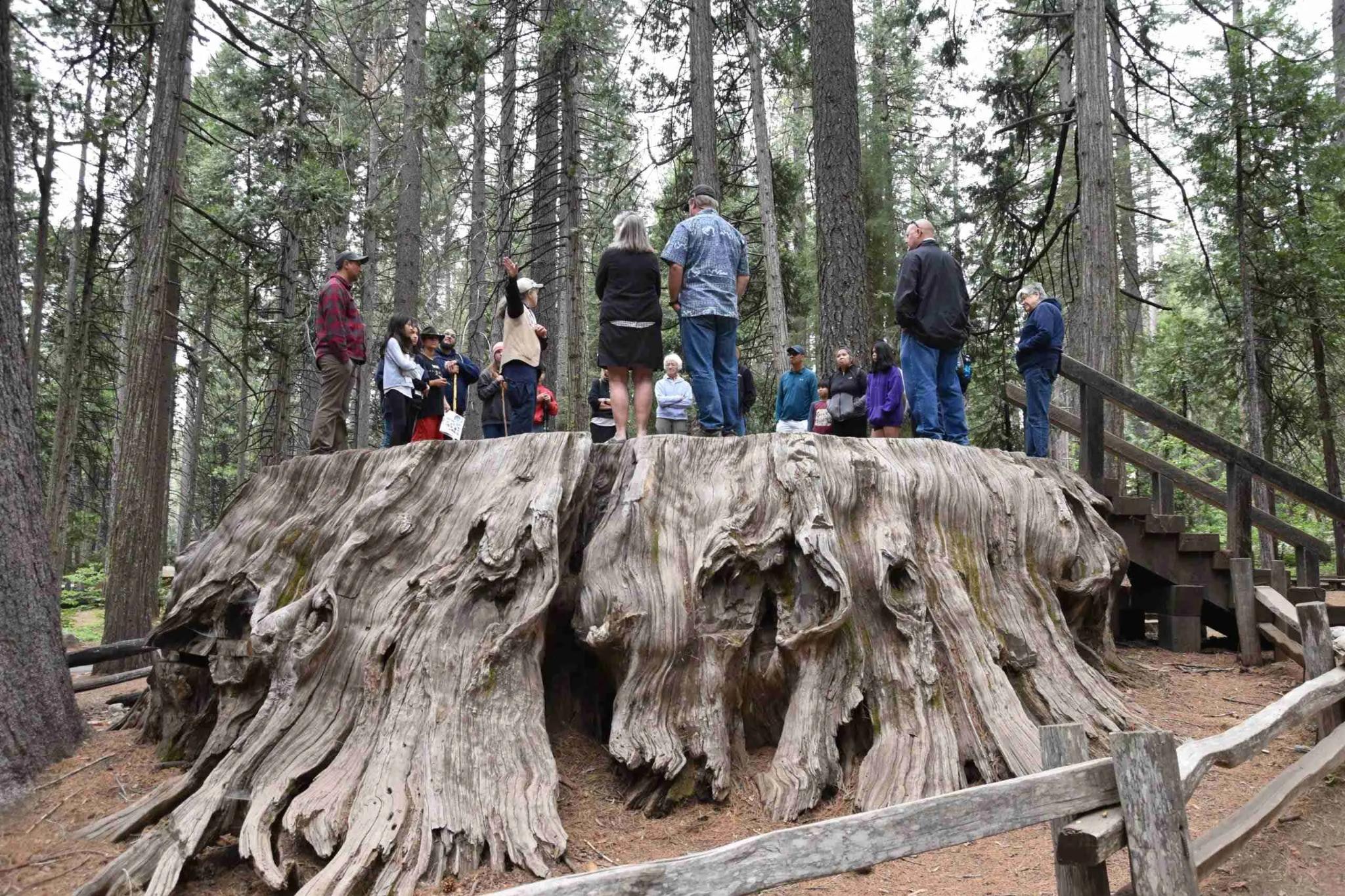 Fun Things to Do in Arnold for Families