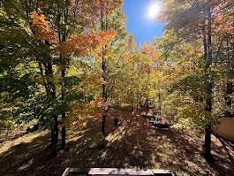 Fall Colors & Cozy Nights