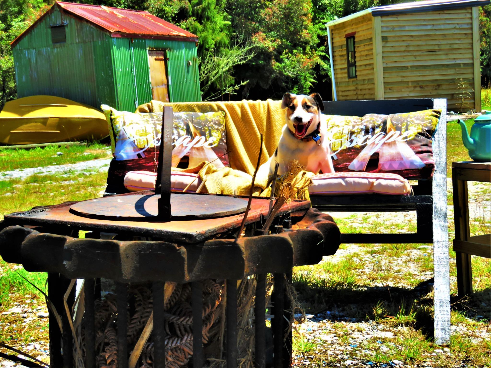 Where To Stay On The West Coast In A Camper Van Or Tent