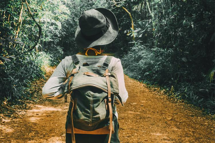 5 Stunning Foliage Hikes in Rhode Island