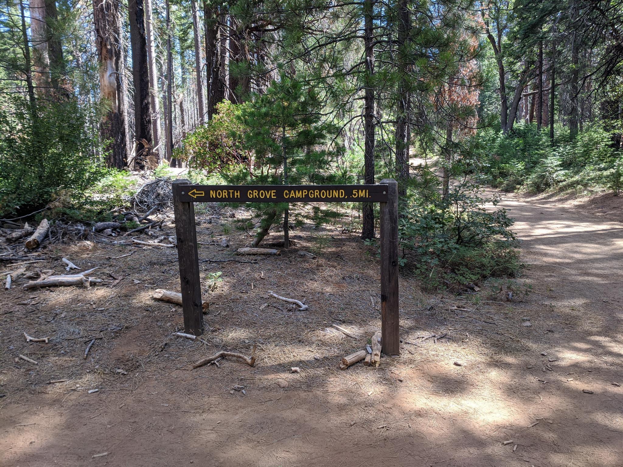 Few visitors know that Calaveras Big Trees State Park can be accessed from Upper Moran Road in the Blue Lake Springs neighborhood of Arnold,