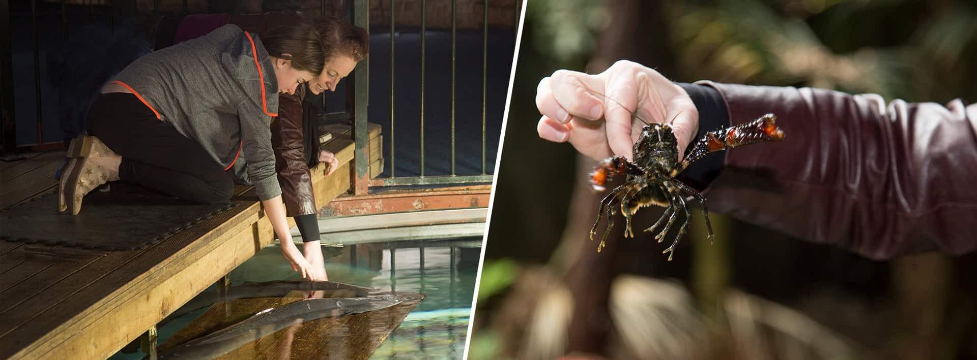 Top 10 Things to Do with Kids in Hokitika